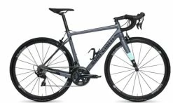 DEDACCIAI Vélo GUERCIOTTI ITALO Carbone Shimano 105 7000 11V 2021 Gris